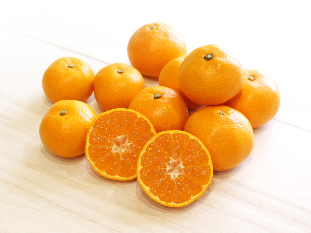 三ヶ日平山産 三ケ日みかん