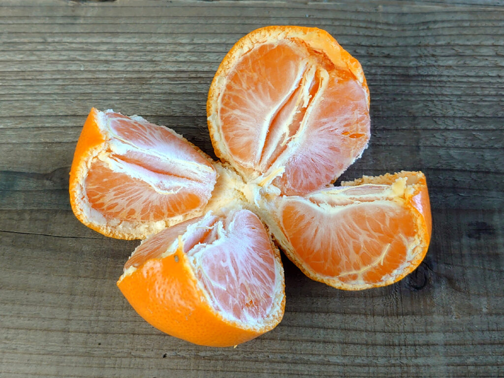 4分割にした温州みかん