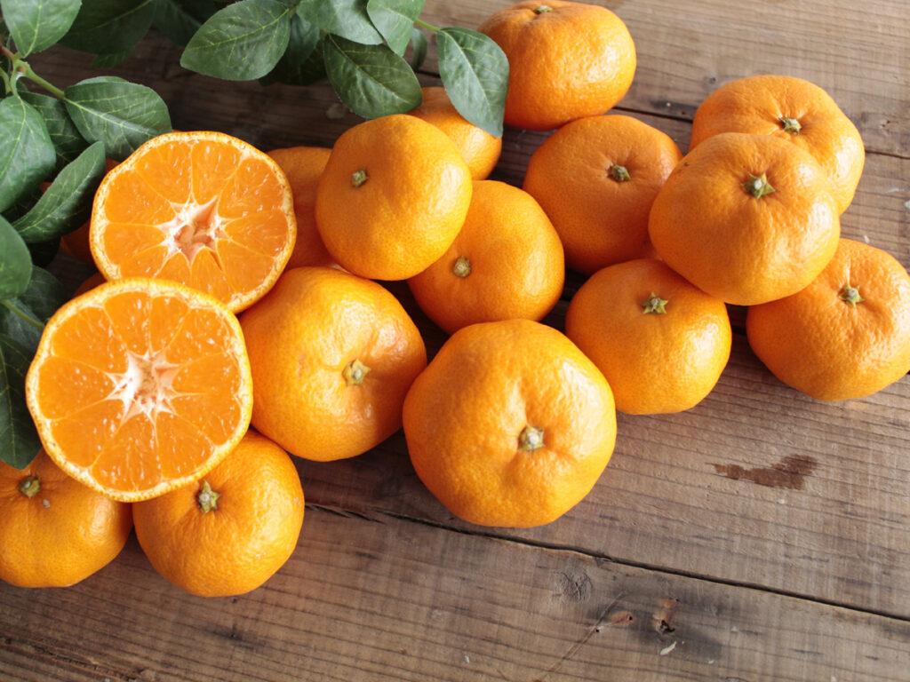 温州みかん　三ケ日みかん　浜名湖みかん