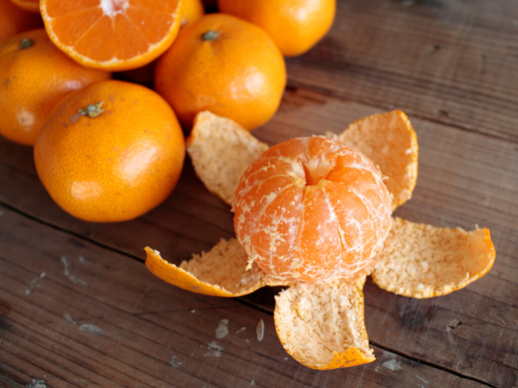 インデンファームの三ヶ日みかん