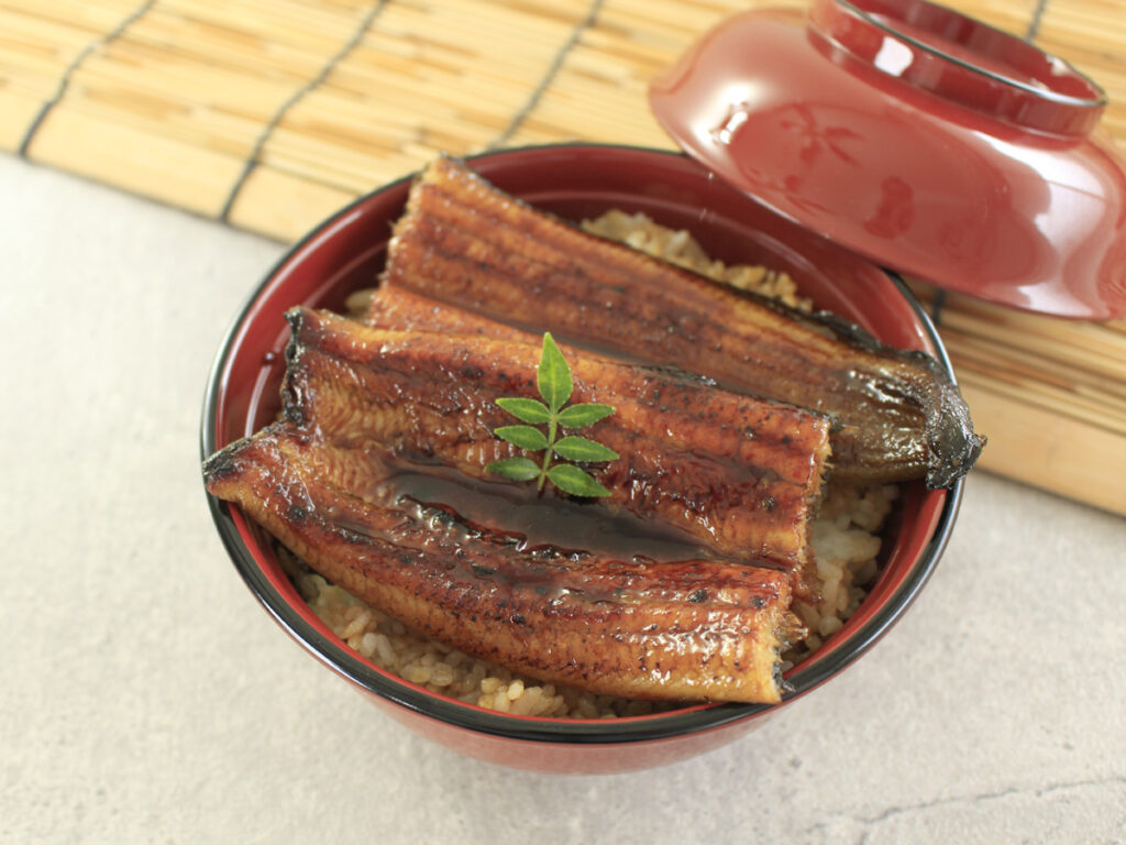 土用の丑の日は浜名湖うなぎ丼で元気チャージ