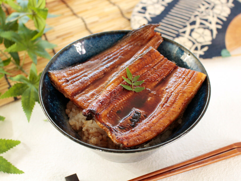 浜名湖産うなぎのうな丼