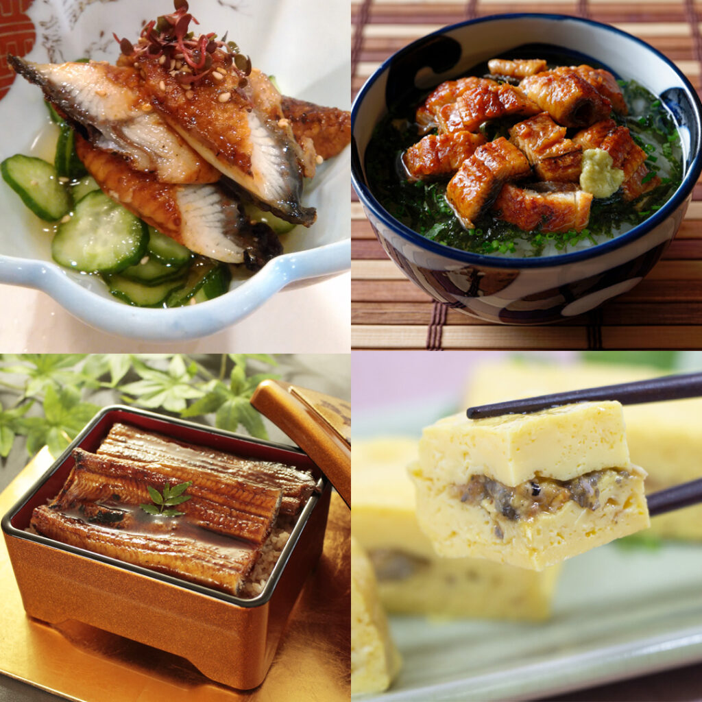 うなぎは歴史ある食材で、日本人に古くから親しまれてきた。
うなぎに関連したことわざや慣用句が多数存在し、日本語や文化にも深く根付いている。