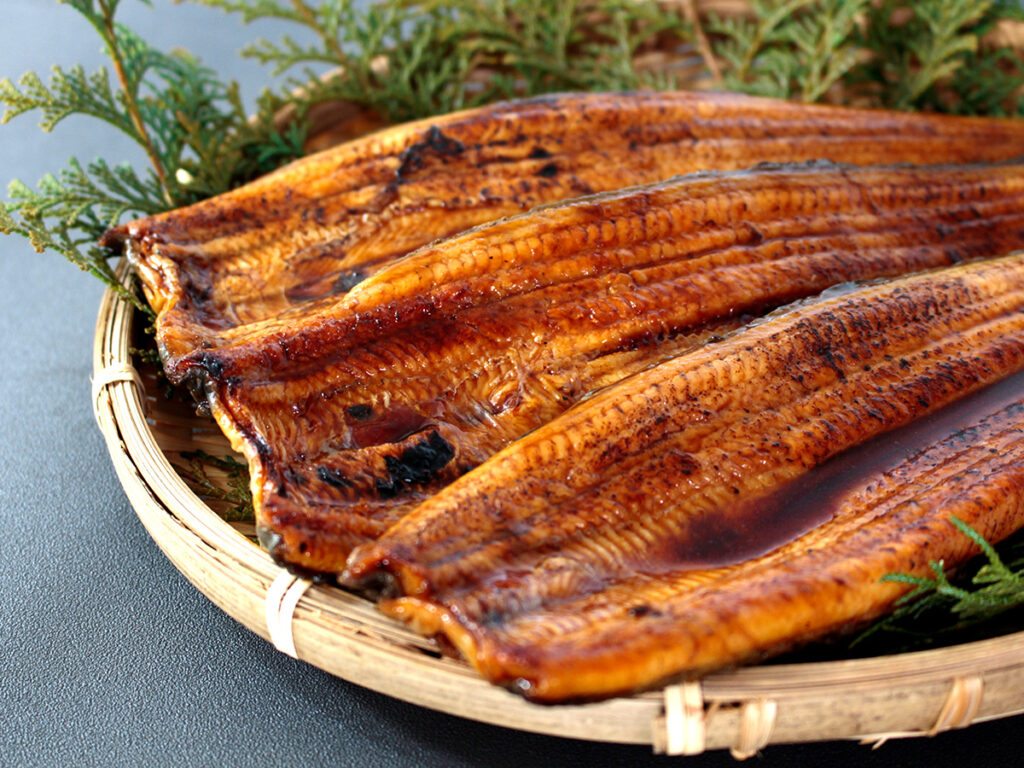 浜名湖 うなぎ ブランド でしこ