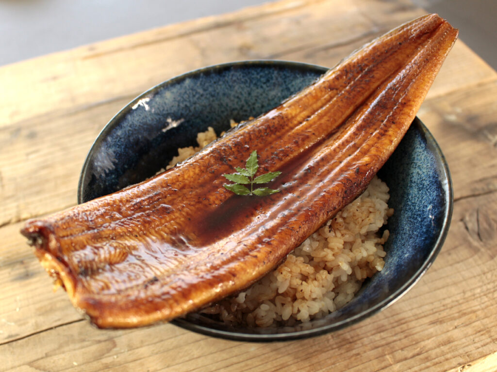 日本産 浜名湖産 手焼きうなぎのうな丼