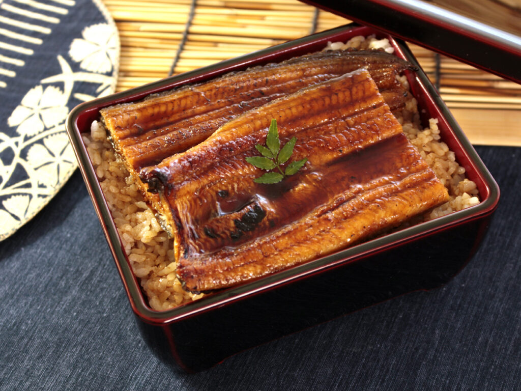 浜名湖産うなぎ うな重