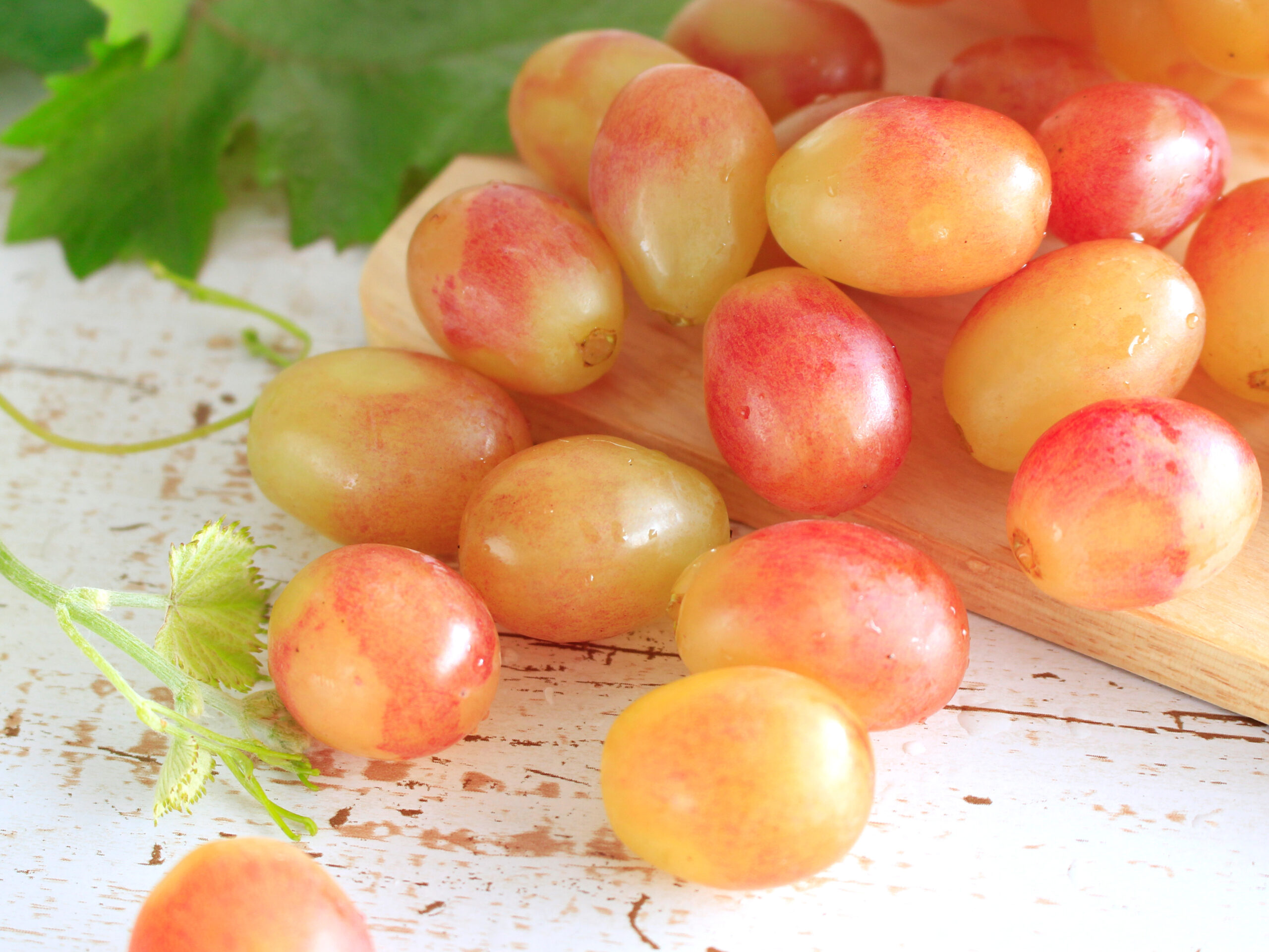🍇 究極の甘みと香り ― 希少品種「ヌーベルローズ」発売開始