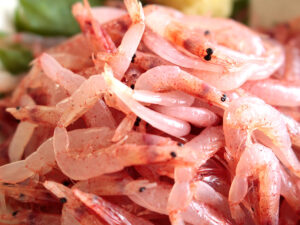 駿河湾 由比・蒲原 生桜えび