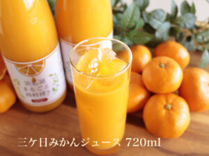 三ケ日みかんジュース ― 濃厚な甘さの晩生『青島温州』を贅沢に絞った逸品