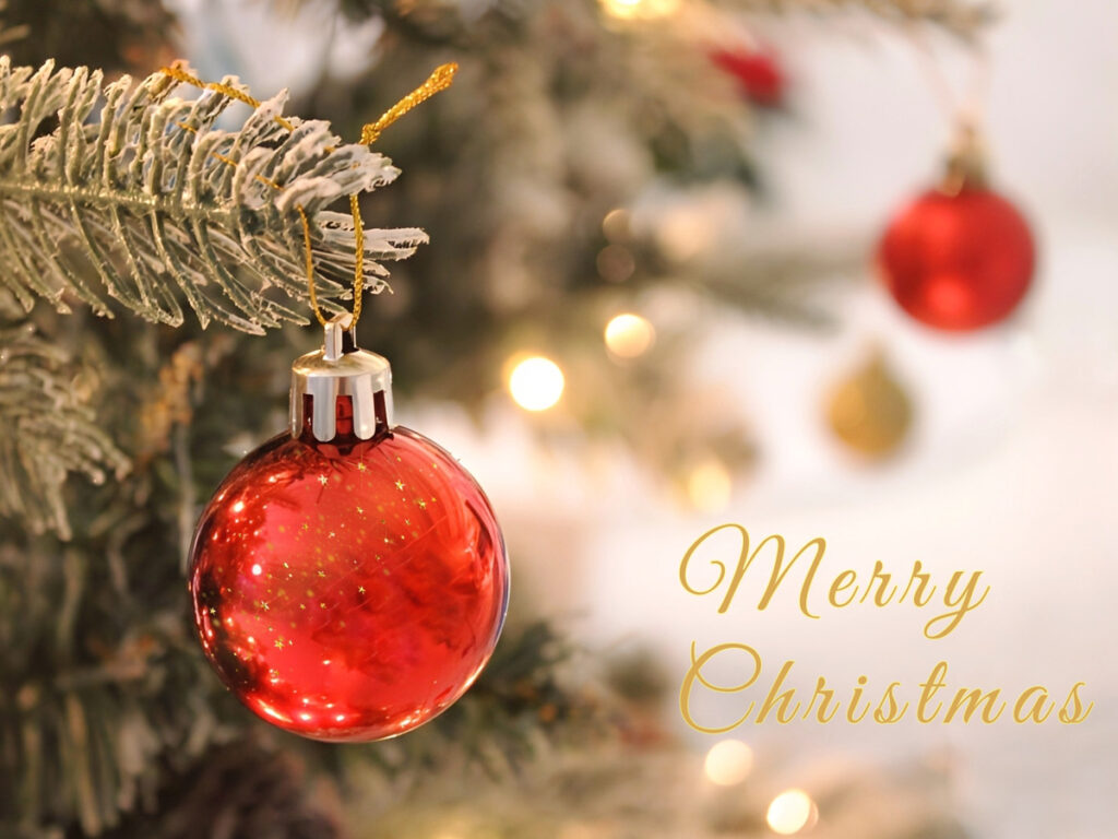 12月7日は、クリスマスツリーの日