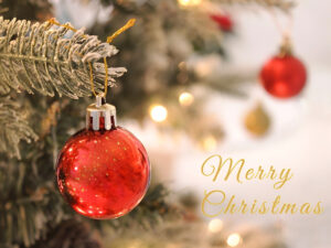 12月7日は、クリスマスツリーの日