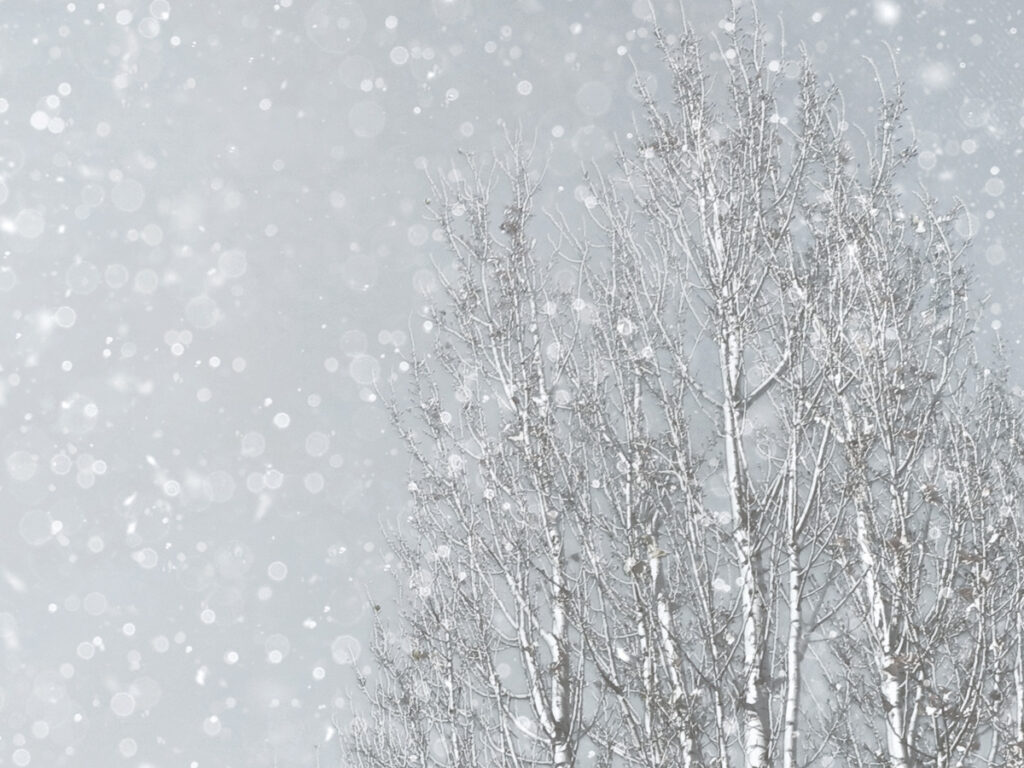 大雪（たいせつ）の大雪