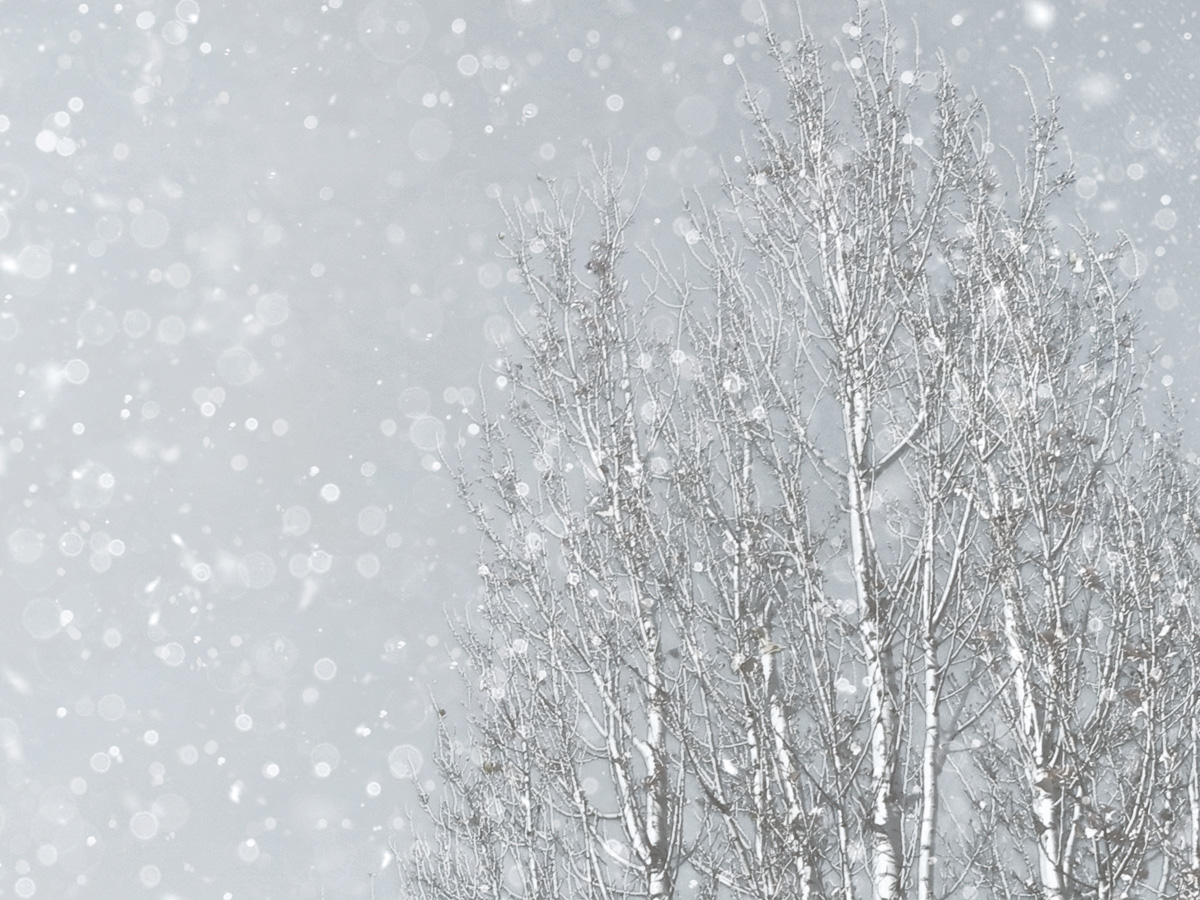 大雪（たいせつ）の大雪