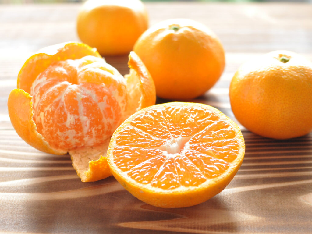 三ケ日産 片山みかん — 濃いオレンジ色の果実