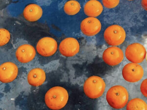 みかんの皮を浴槽に浮かべた温かいみかん湯のイメージ