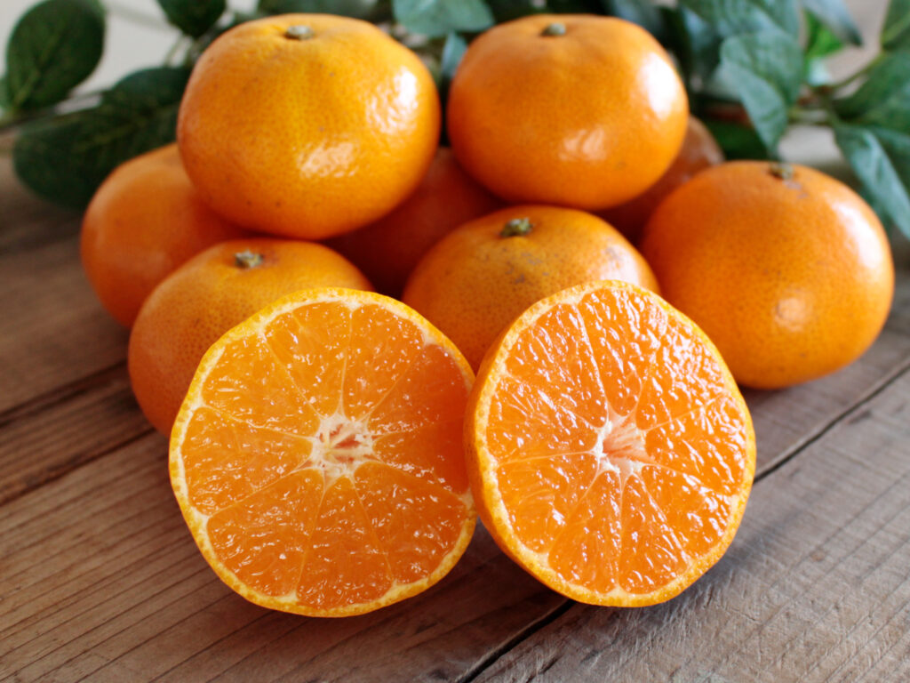 浜松・三ヶ日みじかmm