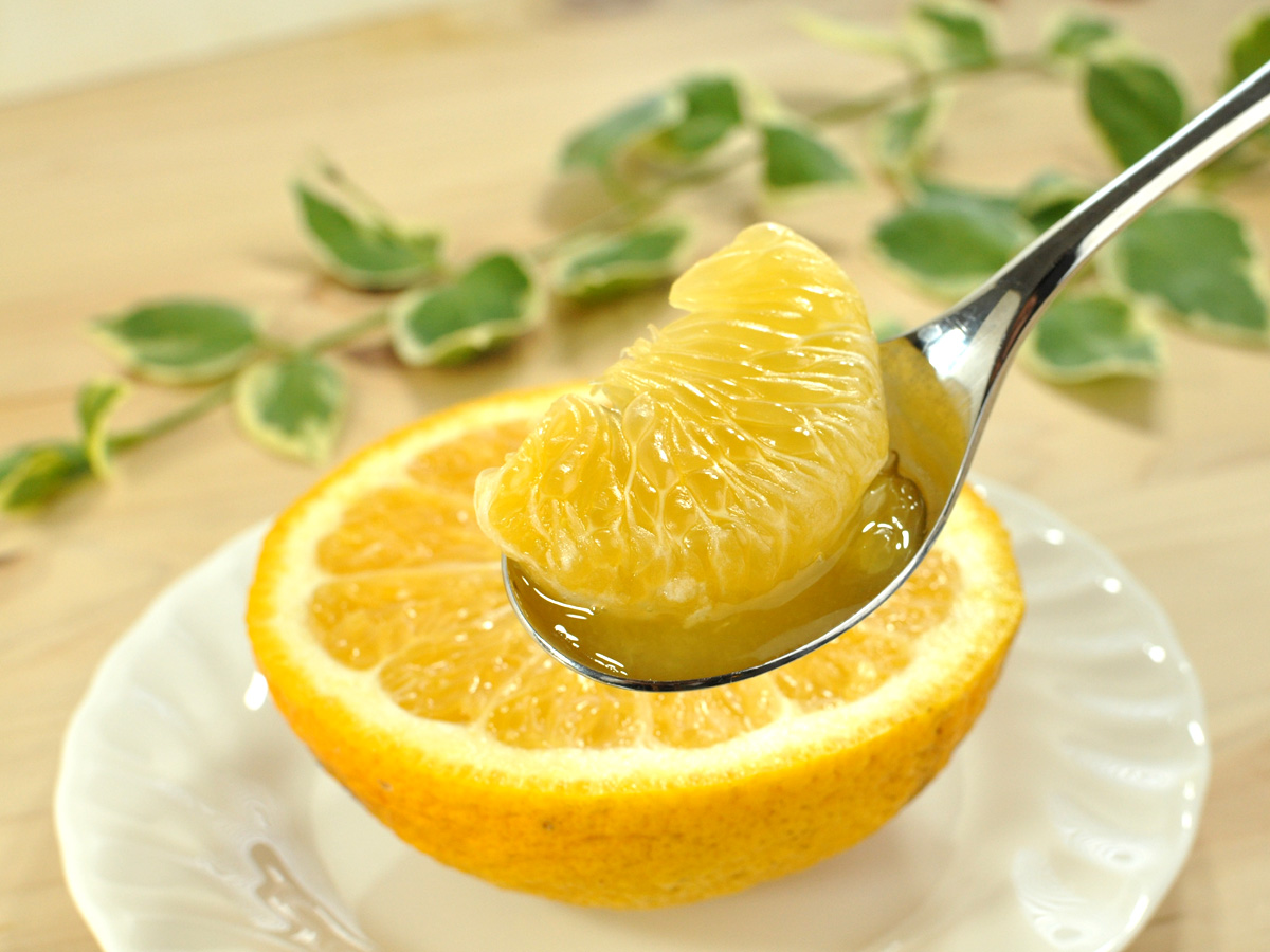 スプーンですくった果汁たっぷりの甘夏（三ケ日産・黒柳農園）