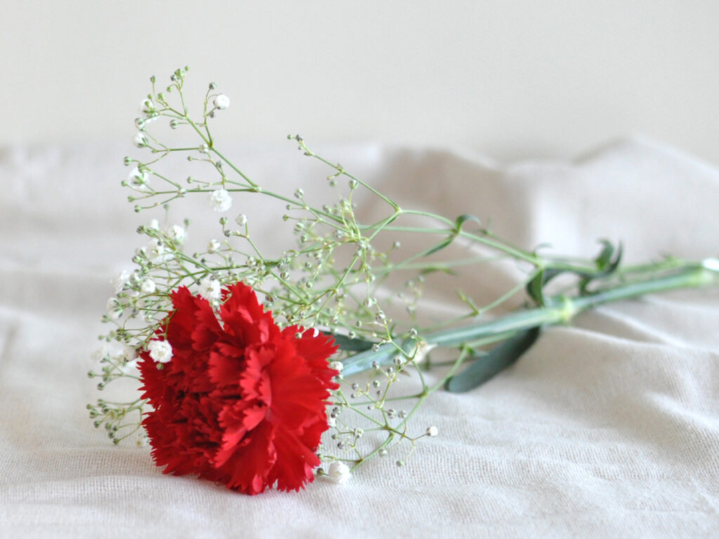 カーネーションとかすみ草の母の日ギフト