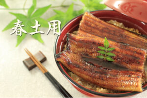 「香ばしく焼き上げられた浜名湖うなぎのうな丼。照りのあるタレとふっくらした身が特徴」