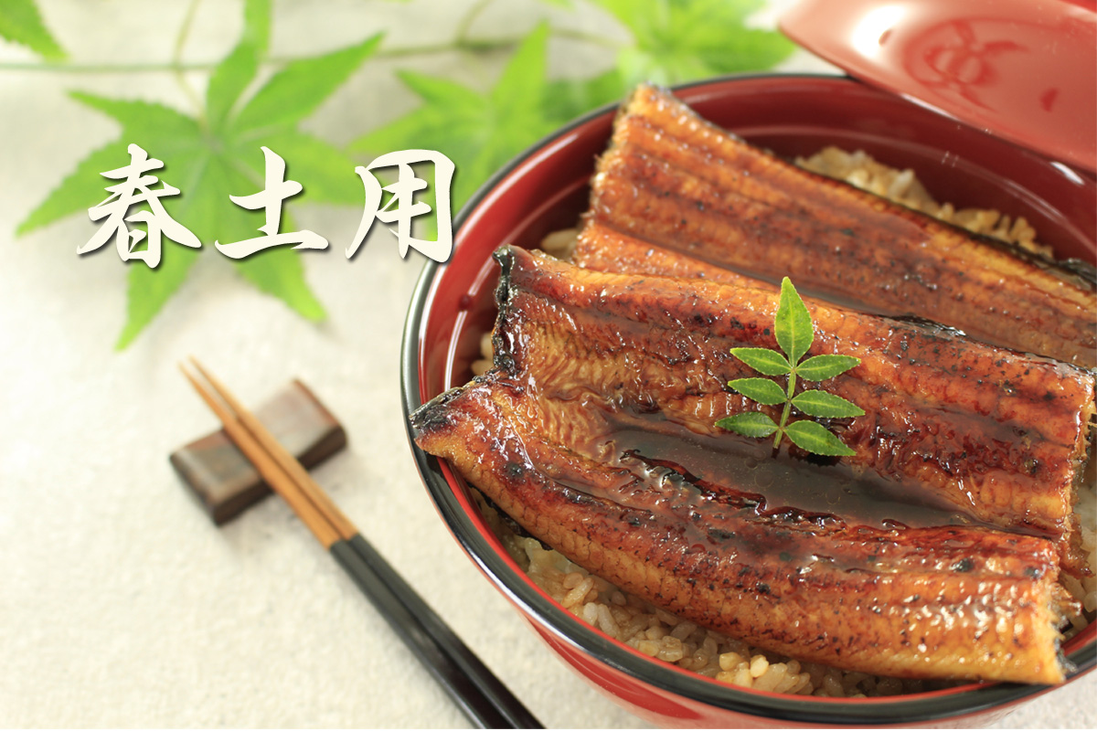 「香ばしく焼き上げられた浜名湖うなぎのうな丼。照りのあるタレとふっくらした身が特徴」