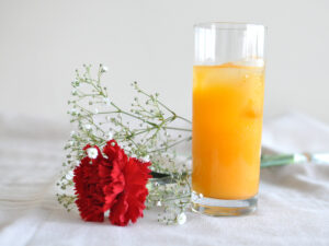 母の日 生花カーネーションと三ヶ日みかんジュースのギフトセット