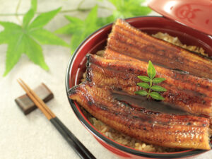 香ばしく焼き上げた浜名湖うなぎ蒲焼きのイメージ画像。父の日や夏の贈り物にもおすすめ
