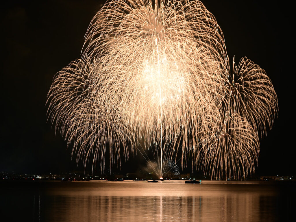 夏の夜空に打ち上がる色鮮やかな花火