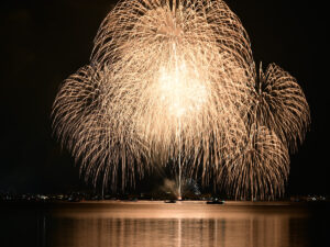 夏の夜空に打ち上がる色鮮やかな花火