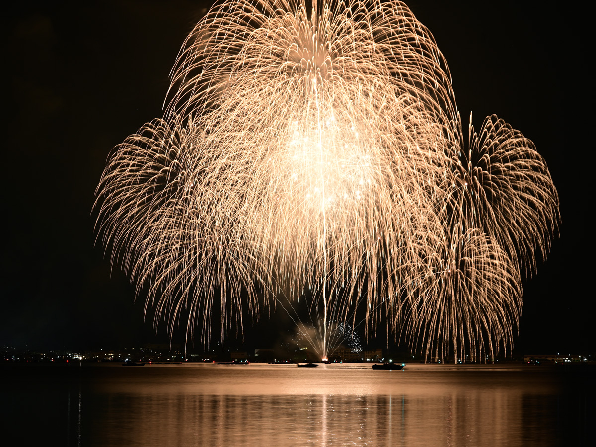 夏の夜空に打ち上がる色鮮やかな花火
