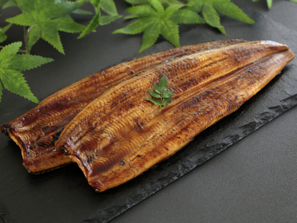 秋土用の丑の日におすすめの浜名湖うなぎの蒲焼き